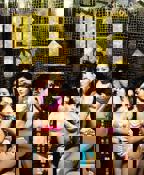 鸭王3之鸭王归来免费观看