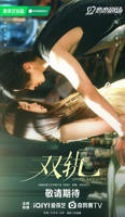 《双轨》电视剧在线观看全集免费播放