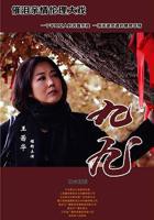 《九九》 4399在线观看免费高清电视剧