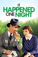 《一夜风流》国语版全集电视剧免费在线观看